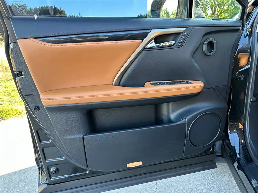 Lexus RX 2020 — фото 13
