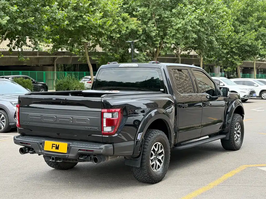 Ford F-150 Raptor 2023 — фото 19