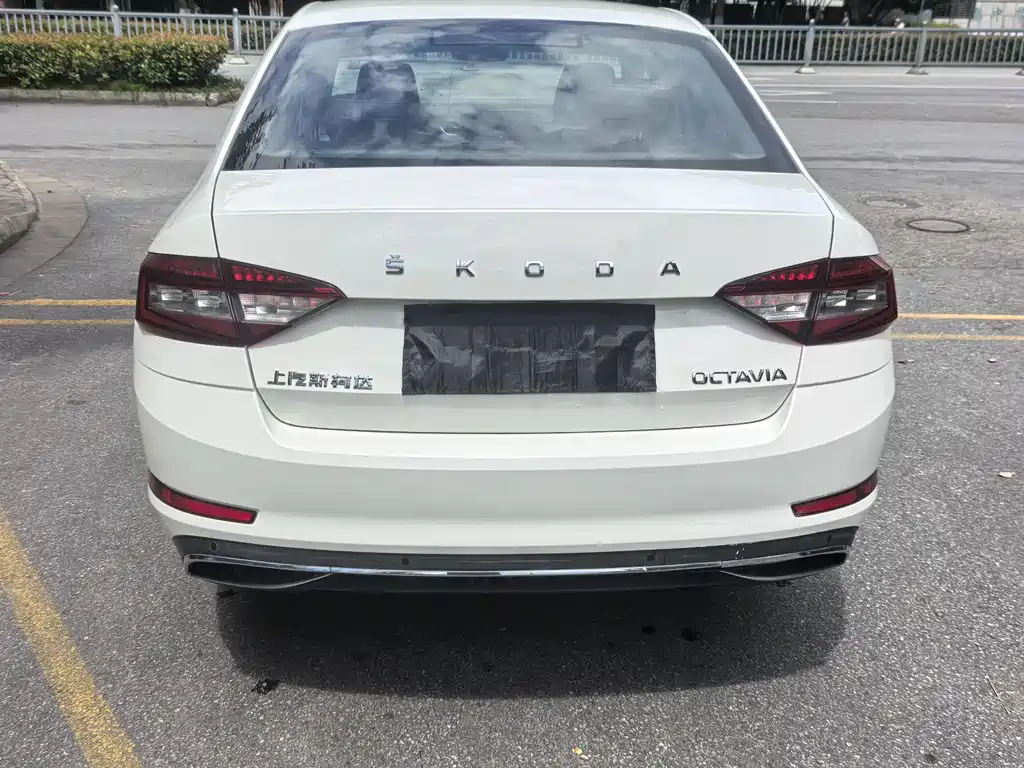 Skoda Octavia 2019 — фото 10