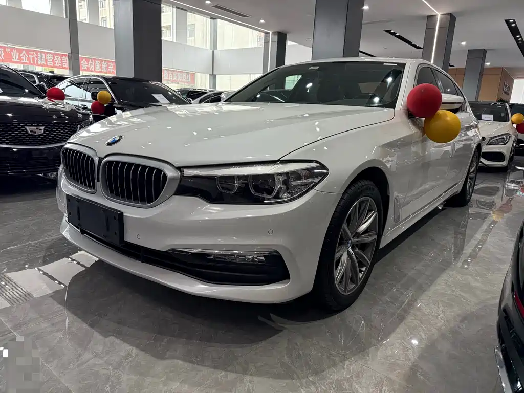 BMW 5 Series 2017 — фото 1