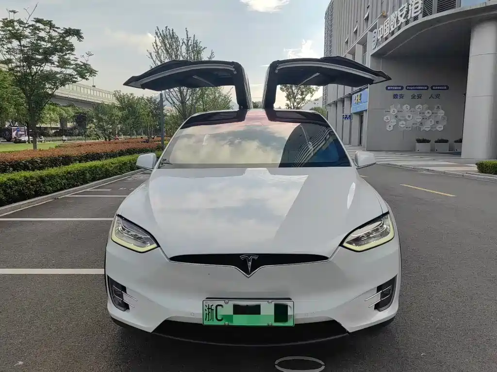 Tesla Model X 2018