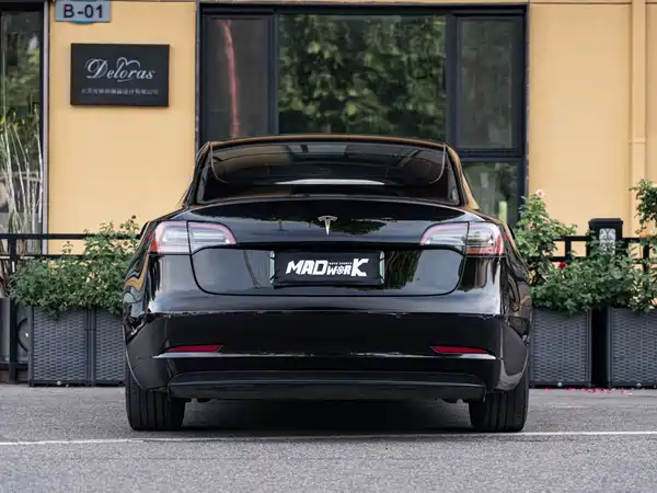 Tesla Model 3 2021