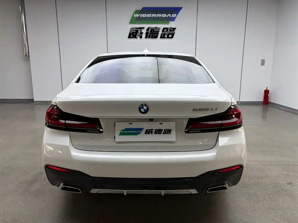 BMW 5 Series 2021