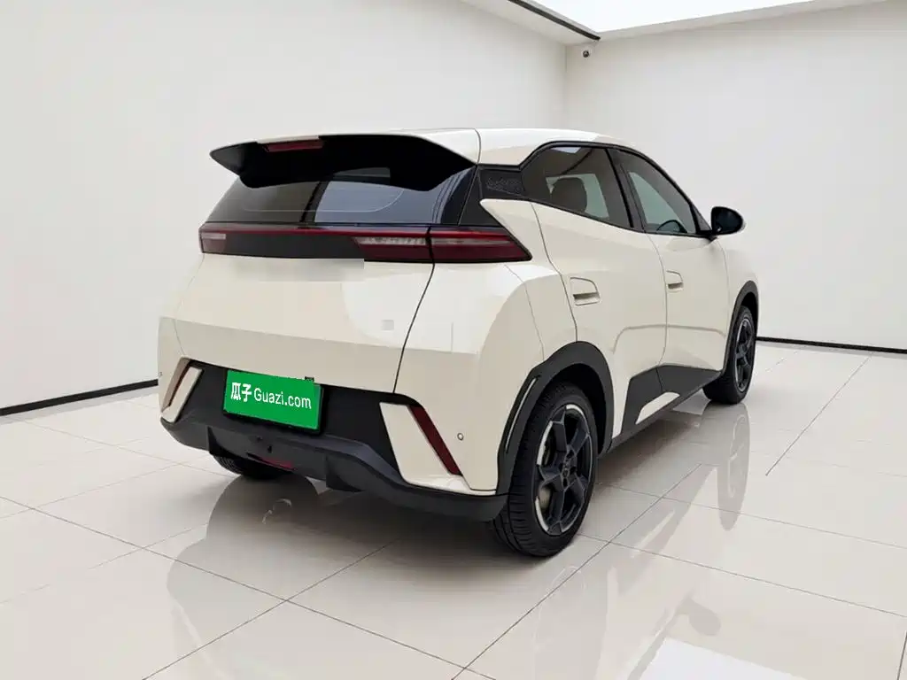 BYD Seagull 2024