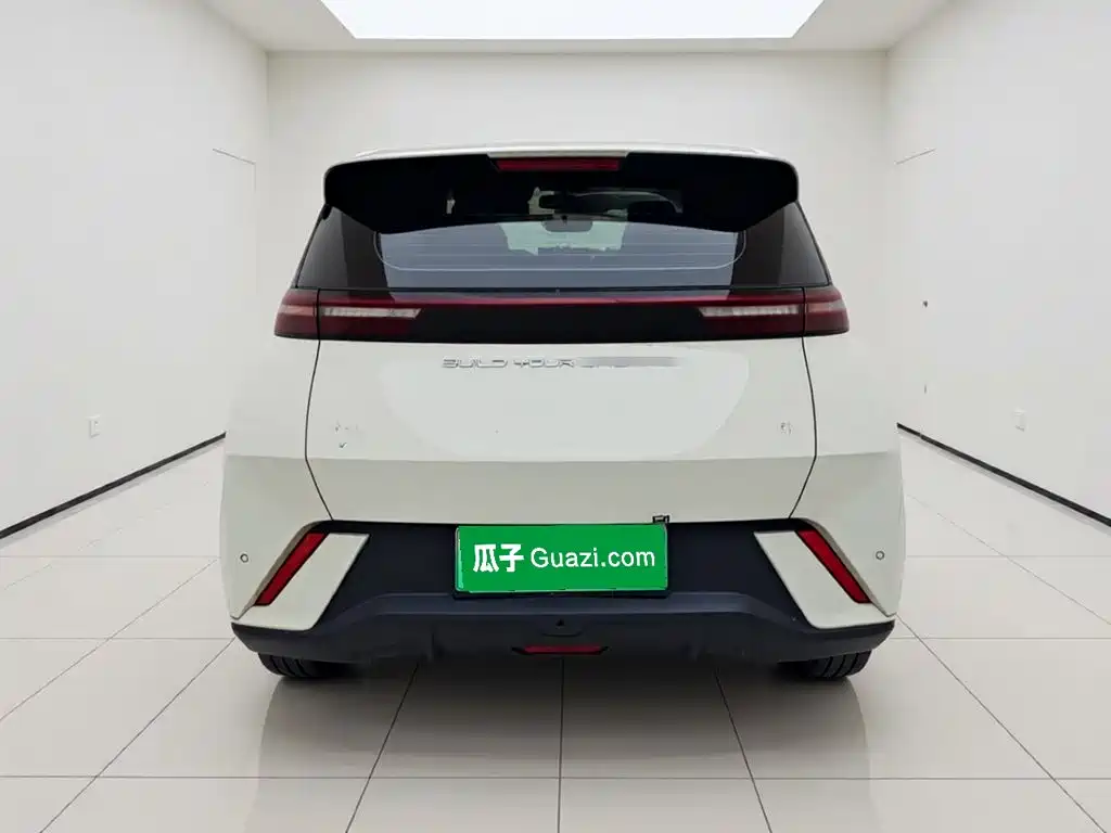 BYD Seagull 2024