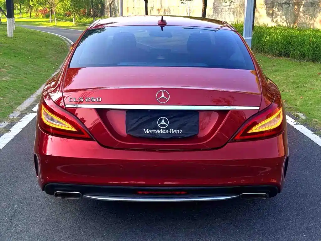 Mercedes-Benz CLS 2015 — фото 5