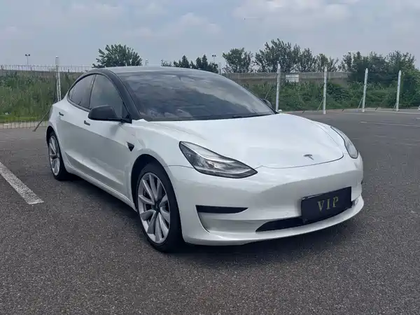 Tesla Model 3 2020