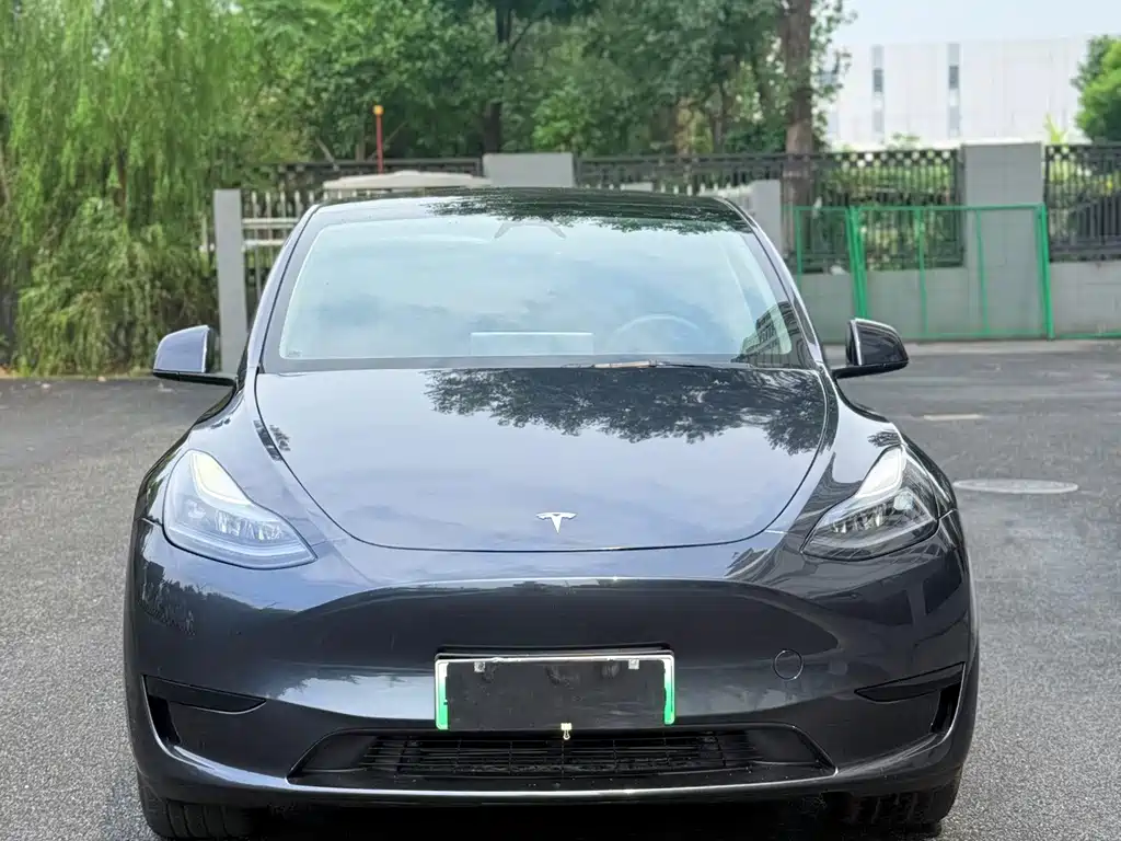 Tesla Model Y 2024 — фото 2