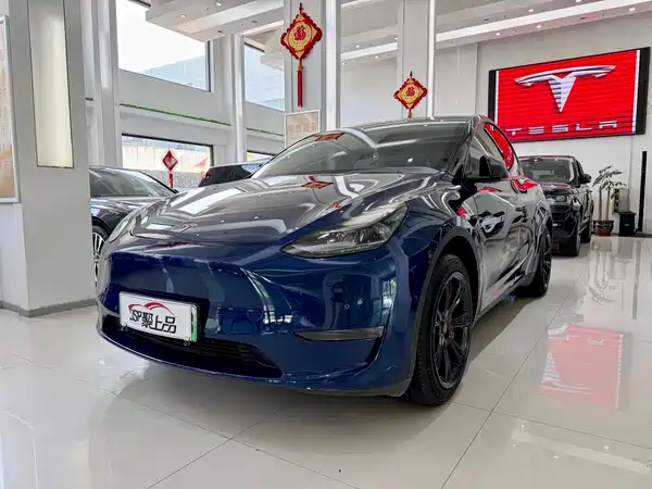 Tesla Model Y 2021