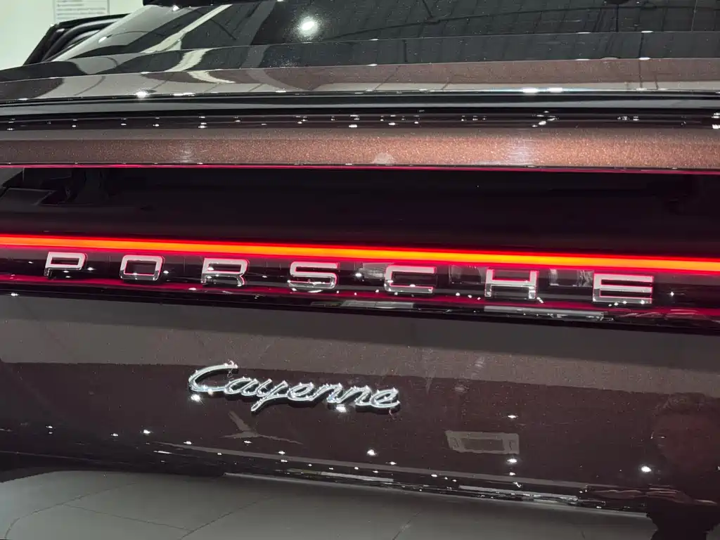 Porsche Cayenne 2020 — фото 11
