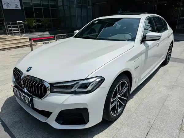 BMW 5 Series New Energy 2021