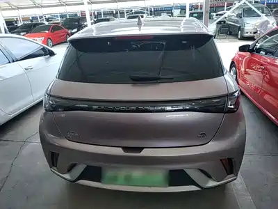BYD Dolphin 2024