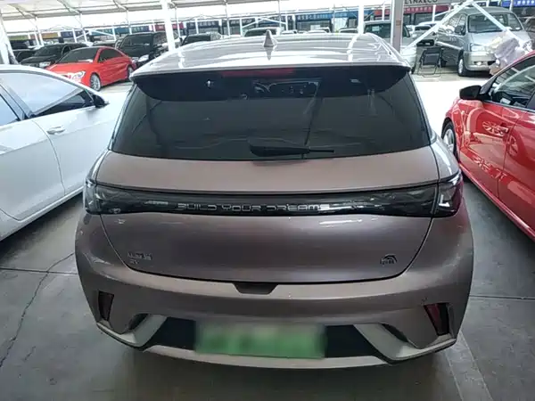 BYD Dolphin 2024