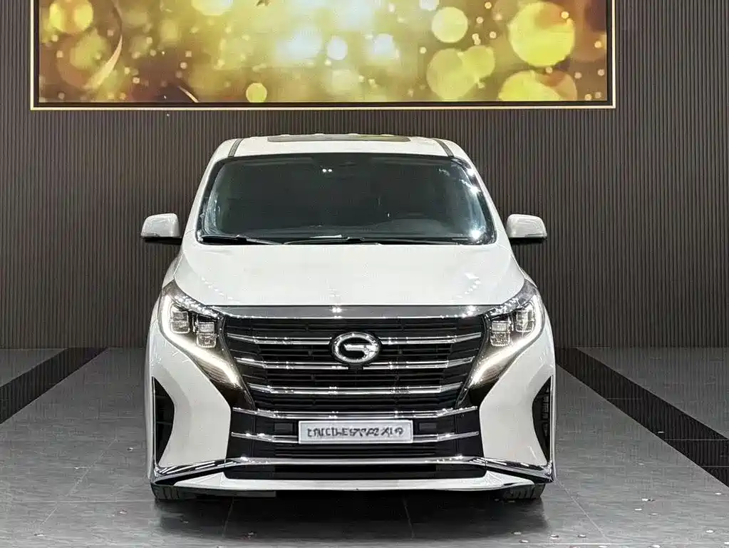 GAC Motor Trumpchi M8 2024 — фото 2