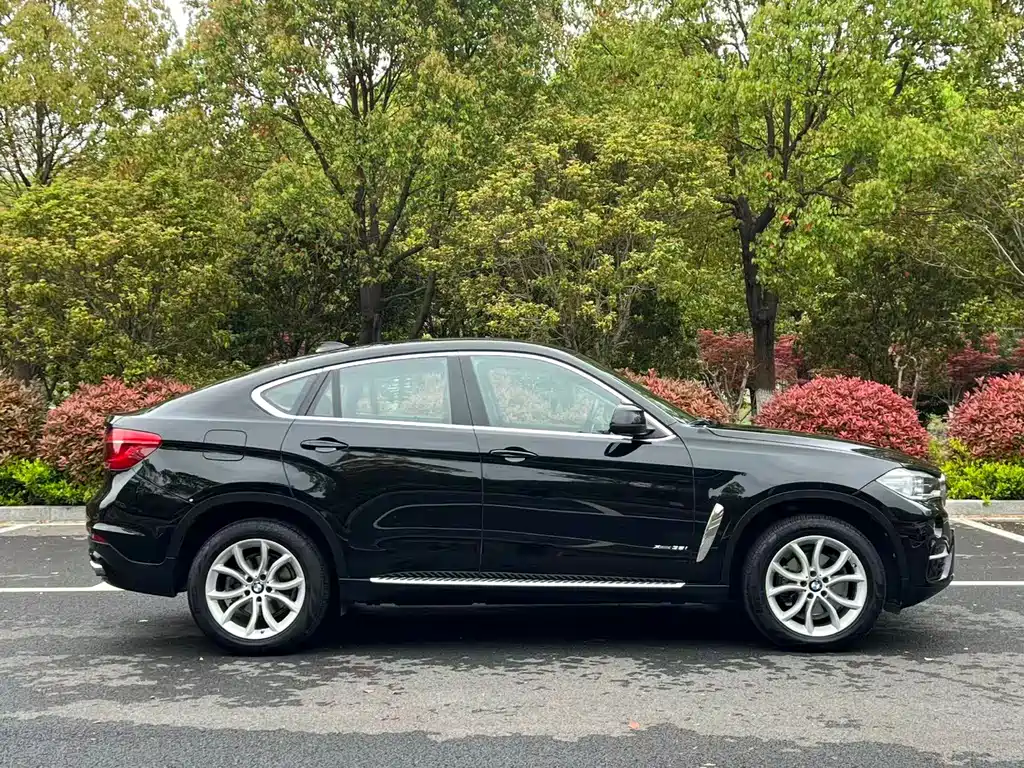 BMW X6 2017 — фото 4