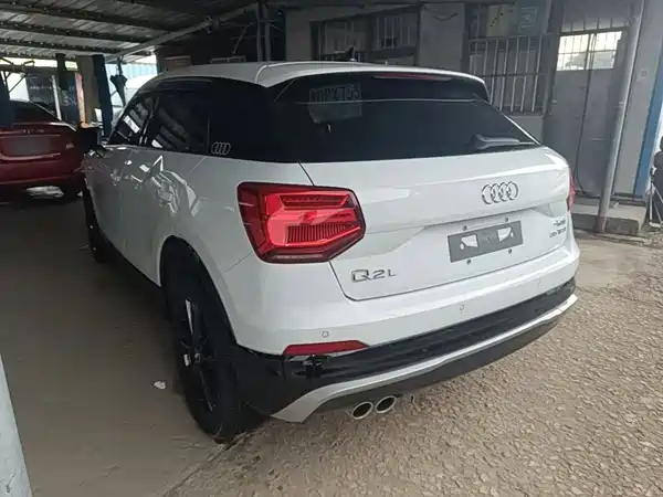 Audi Q2L 2020