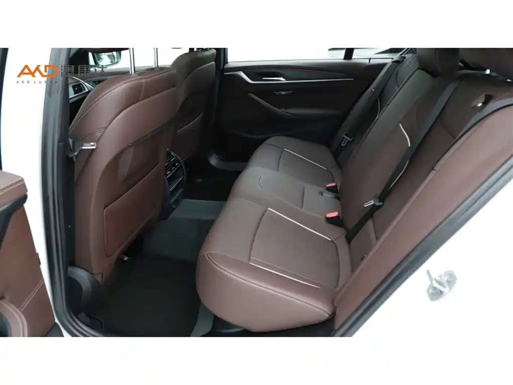 BMW 5 Series 2022