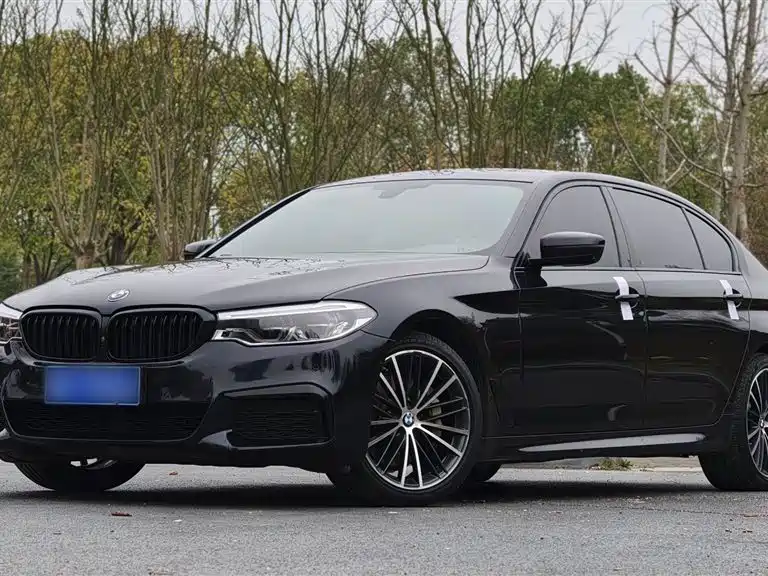 BMW 5 Series 2019 — фото 1