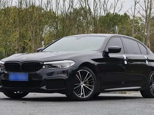 BMW 5 Series 2019