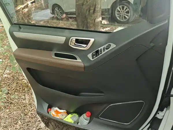 Maxus G10 2019