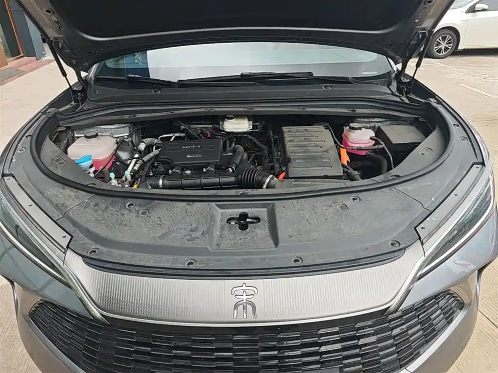 BYD L DM-i 2025 — фото 20