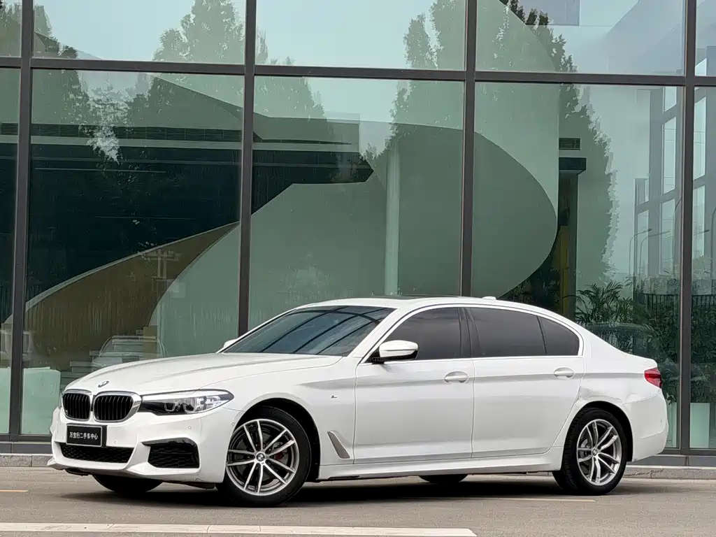 BMW 5 Series 2019