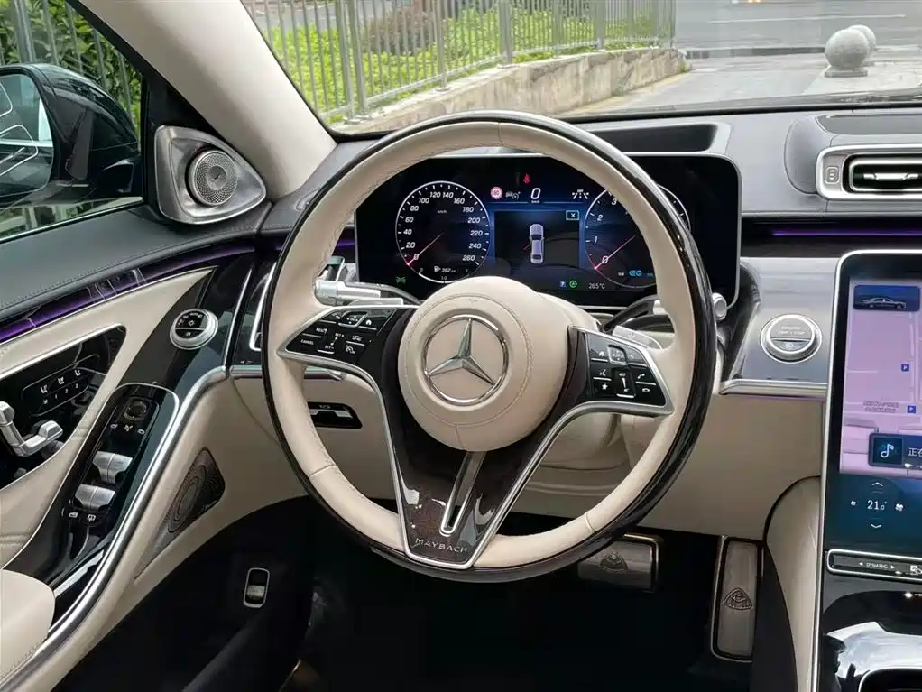 Mercedes-Benz S-Class 2023 — фото 19