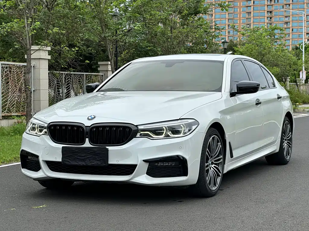 BMW 5 Series 2018 — фото 1
