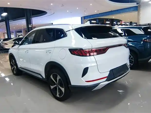 BYD PLUS New Energy 2021 — фото 13