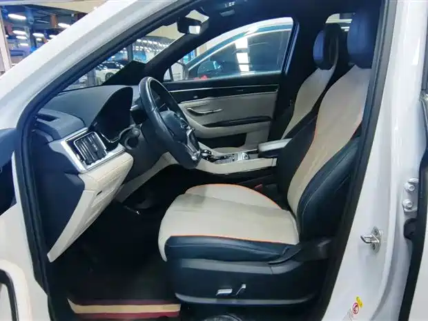 BYD PLUS New Energy 2021 — фото 15