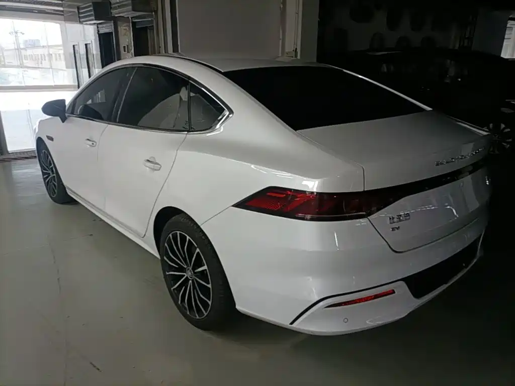 BYD Qin PLUS 2021