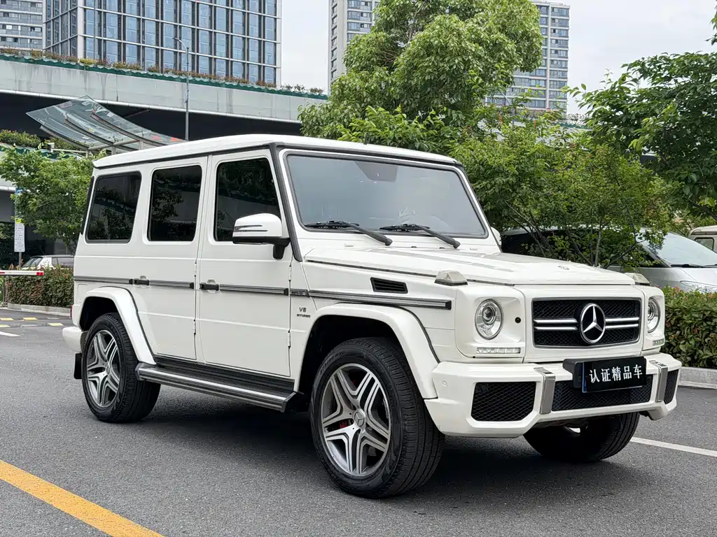 Mercedes-Benz G-Class AMG 2014 — фото 3
