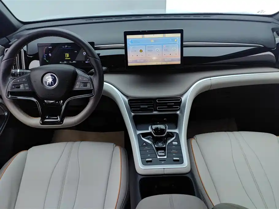 BYD Pro New Energy 2024 — фото 12