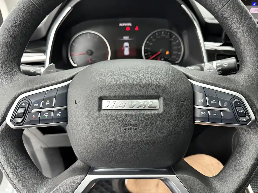 Haval H6 2023 — фото 15