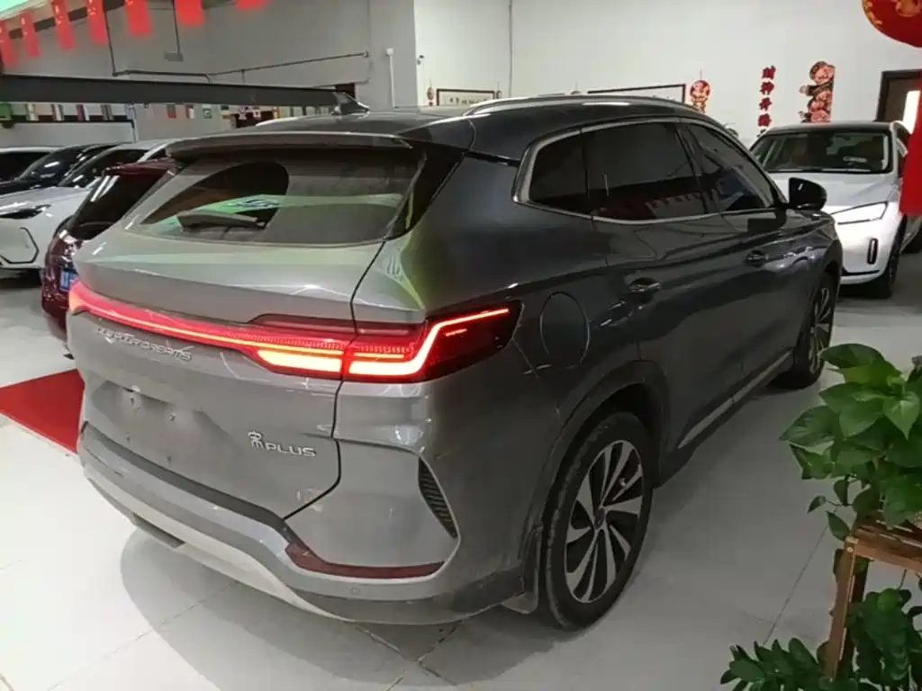 BYD PLUS New Energy 2024 — фото 7
