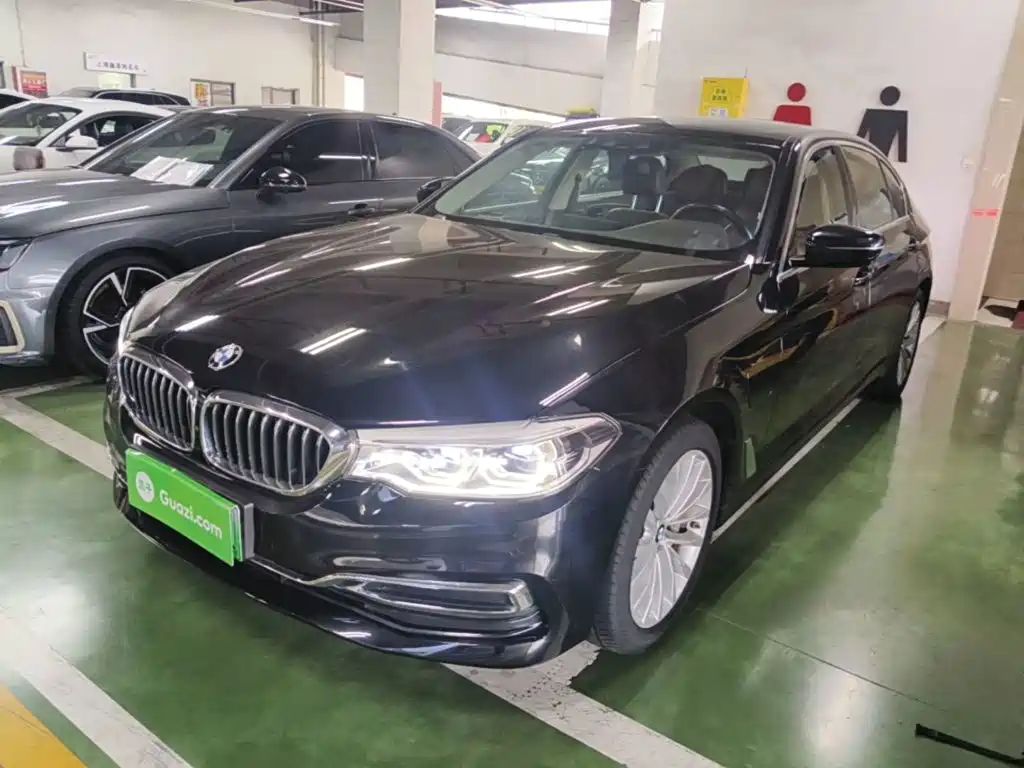 BMW 5 Series New Energy 2020