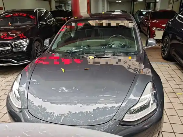 Tesla Model 3 2019