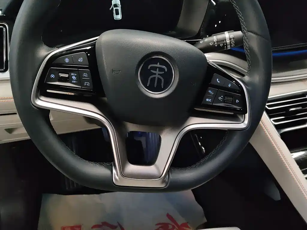 BYD PLUS New Energy 2023 — фото 14