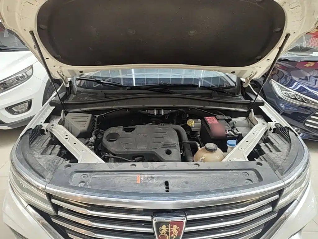 Roewe RX5 MAX 2019 — фото 20