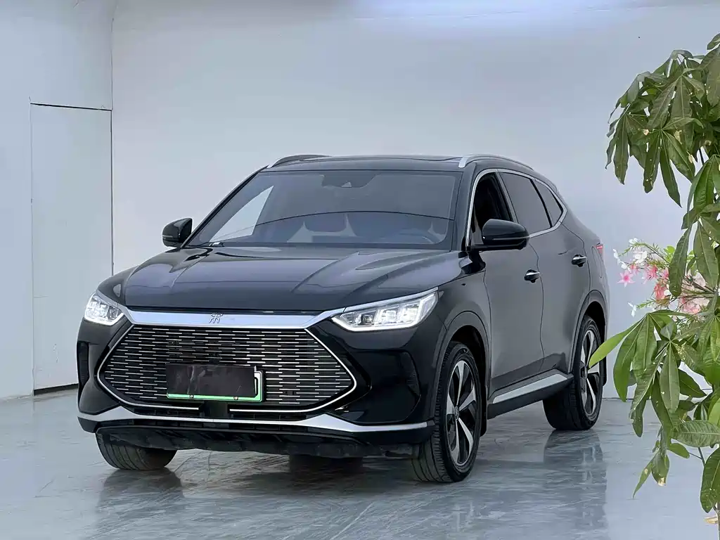BYD PLUS New Energy 2023 — фото 1