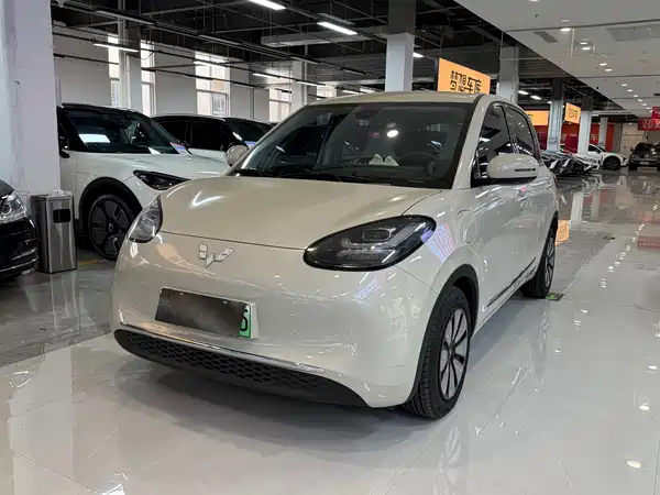 Wuling Bingo 2024