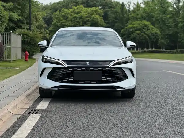 BYD Qin L 2024