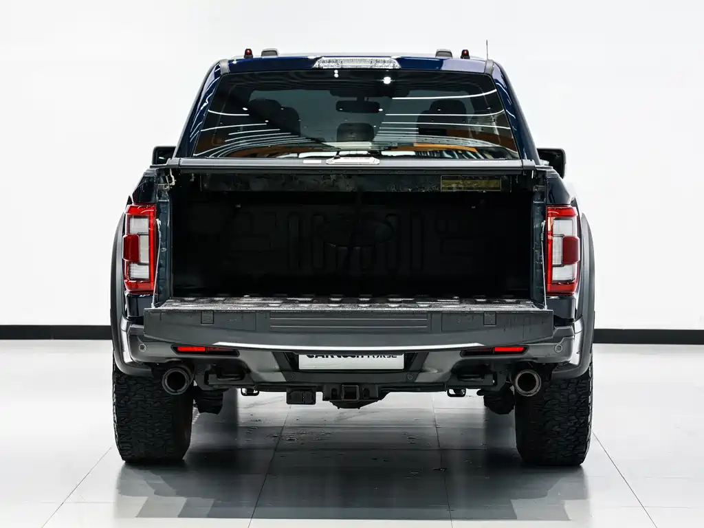 Ford F-150 Raptor 2024 — фото 14