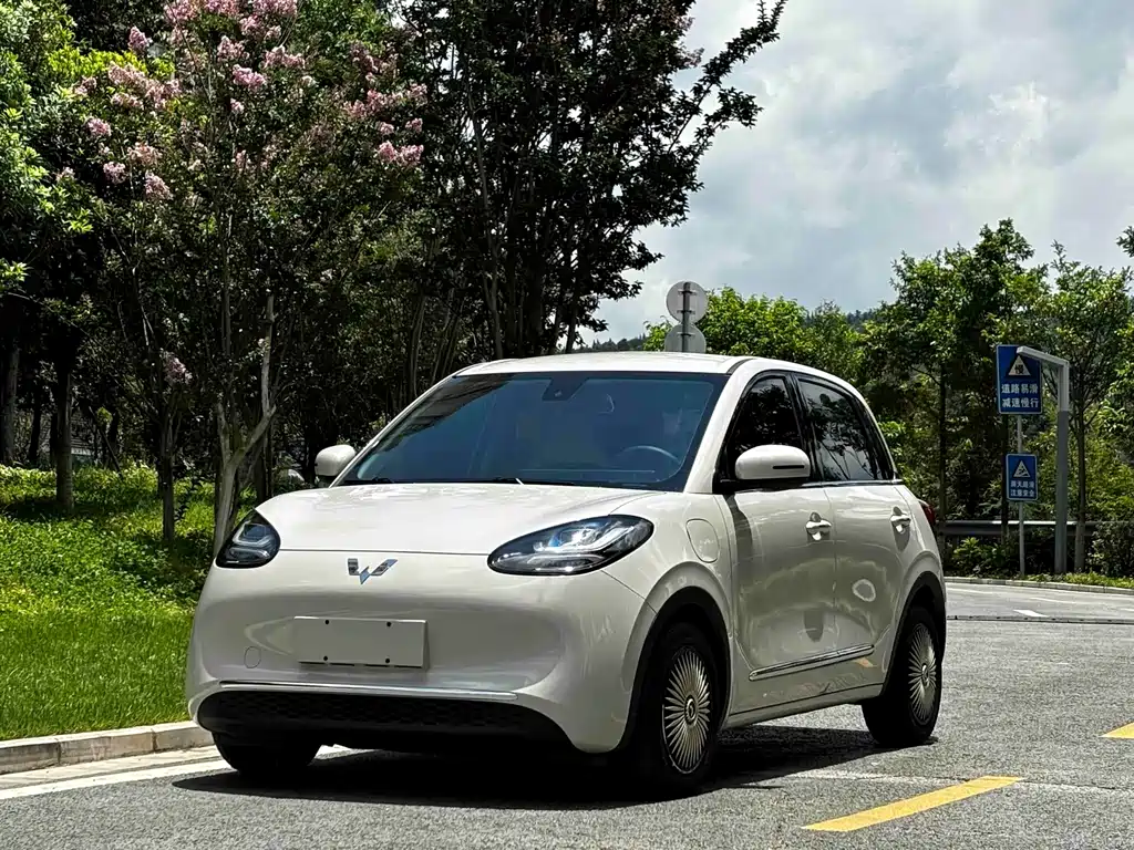 Wuling Bingo 2025