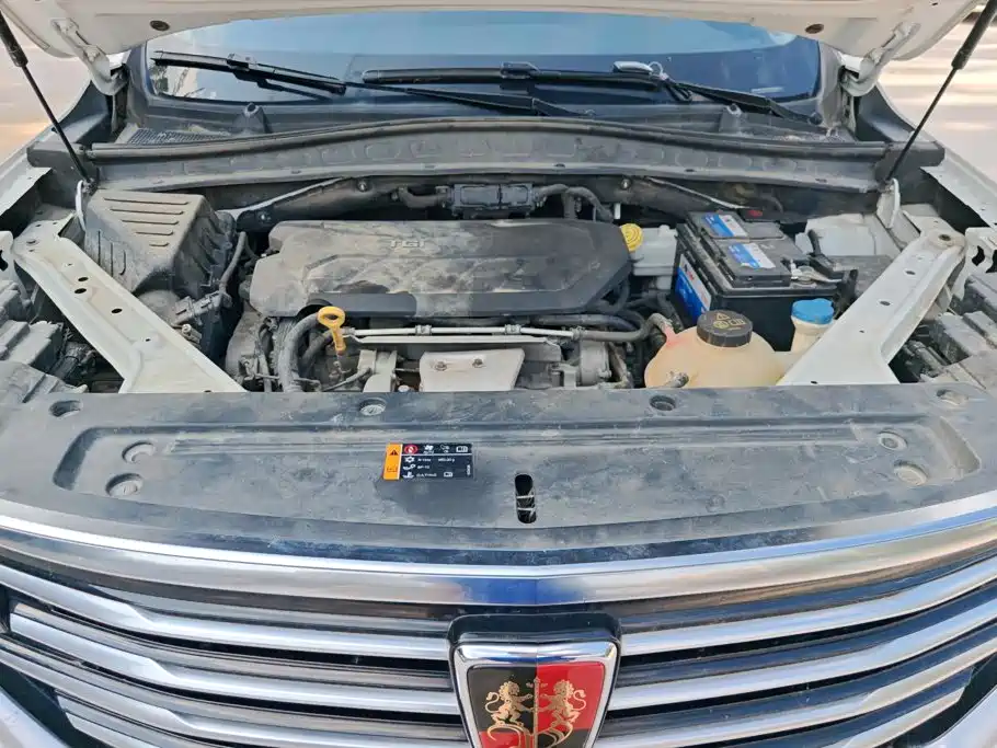 Roewe RX5 MAX 2020 — фото 10