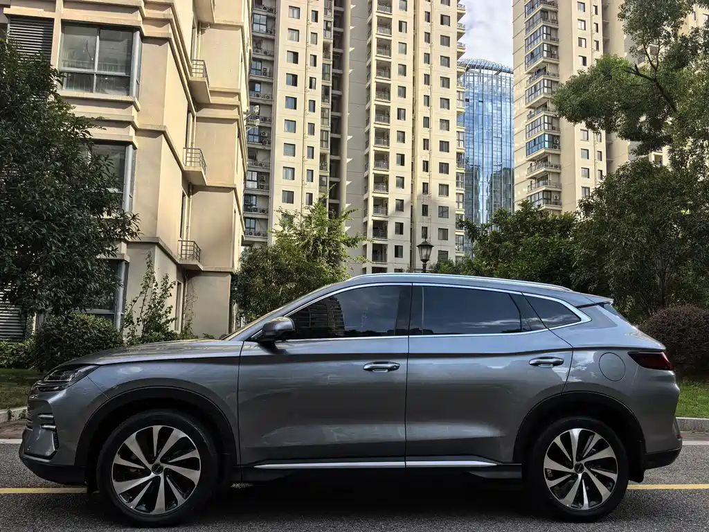 BYD Song PLUS New Energy 2024 — фото 15
