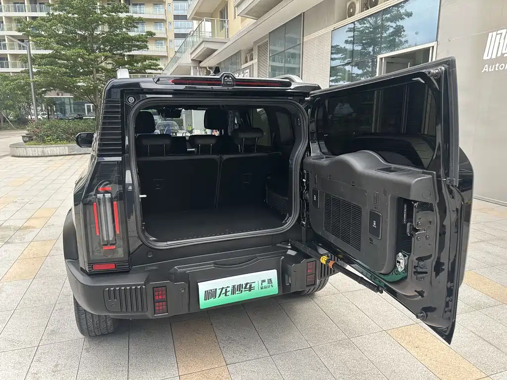 Shanhai Traveller C-DM 2025 — фото 23
