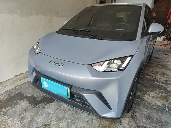 BYD Seagull 2024