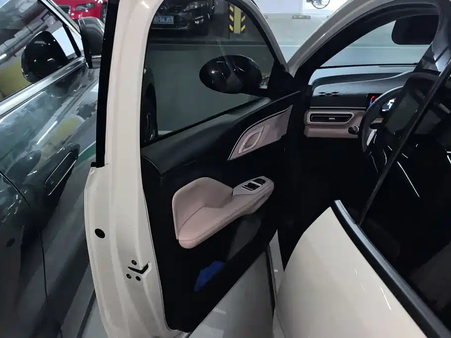 BYD Seagull 2024