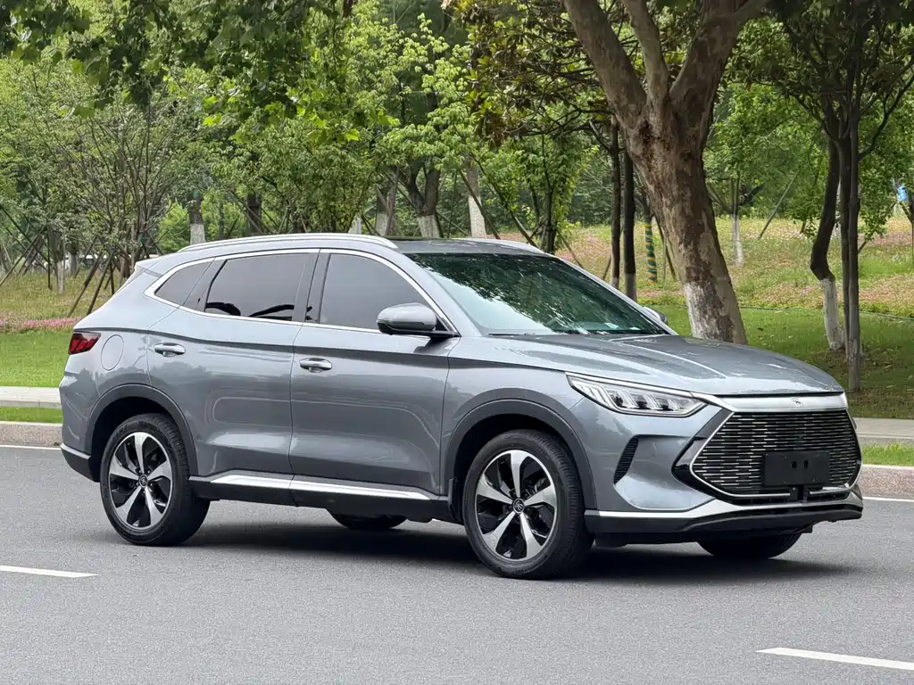 BYD PLUS New Energy 2023 — фото 3